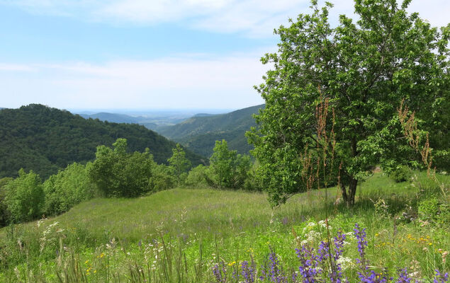 delle Maschere - Photo 47